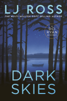 book cover for Dark Skies