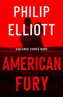 book cover for American Fury