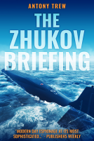 book cover for The Zhukov Briefing