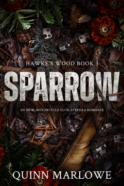 book cover for Sparrow