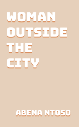 book cover for Woman Outside the City