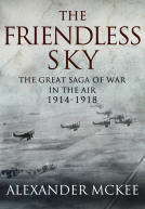 book cover for The Friendless Sky