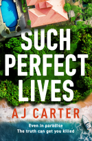 book cover for Such Perfect Lives