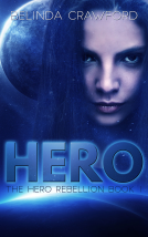 book cover for Hero