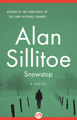 book cover for Snowstop