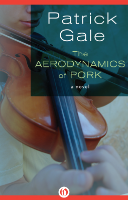 book cover for The Aerodynamics of Pork