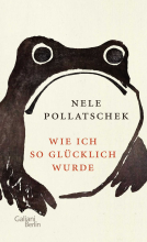 Buchcover für Wie ich so glücklich wurde