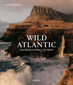 Buchcover für Wild Atlantic