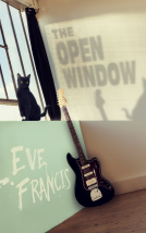 book cover for The Open Window