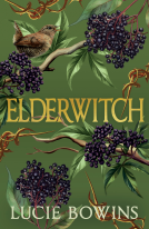 book cover for Elderwitch
