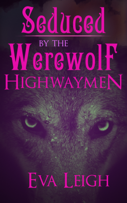 book cover for Seduced by the Werewolf Highwaymen
