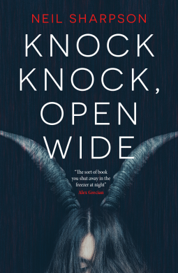 book cover for Knock Knock, Open Wide