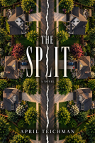 book cover for The Split