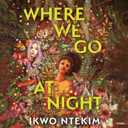 book cover for Where We Go at Night