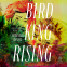 book cover for Bird King Rising