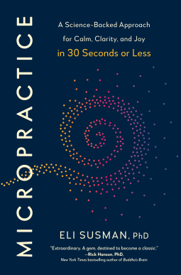 book cover for Micropractice
