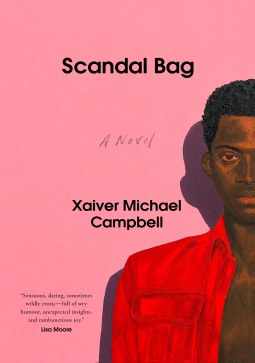 book cover for Scandal Bag