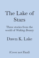 book cover for The Lake of Stars