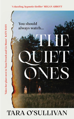 book cover for The Quiet Ones