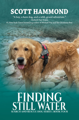 book cover for Finding Still Water