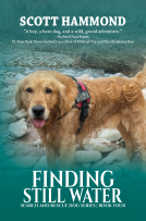 book cover for Finding Still Water