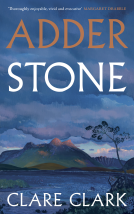 book cover for Adder Stone