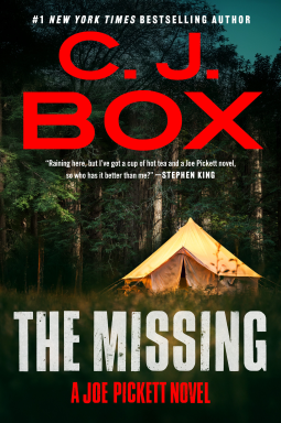 book cover for The Missing