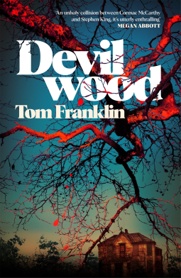book cover for Devilwood
