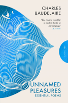 book cover for Unnamed Pleasures