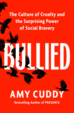 book cover for Bullied