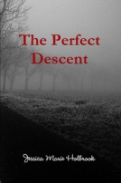book cover for The Perfect Descent