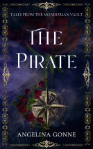book cover for The Pirate
