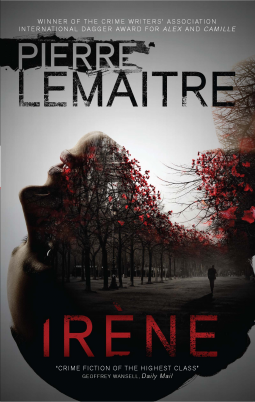 book cover for Irène