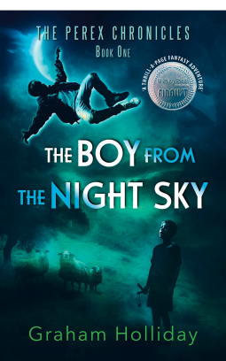 book cover for The Boy From the Night Sky