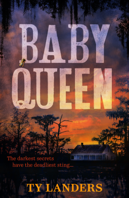 book cover for Baby Queen