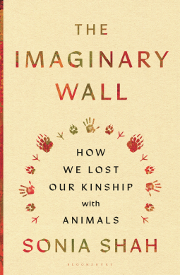 book cover for The Imaginary Wall