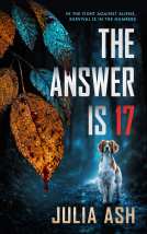 book cover for The Answer is 17