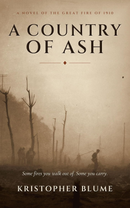 book cover for A Country of Ash