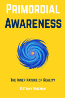 book cover for Primordial Awareness