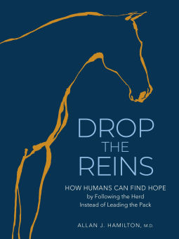book cover for Drop the Reins