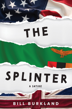 book cover for The Splinter