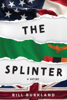 book cover for The Splinter