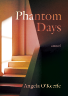book cover for Phantom Days