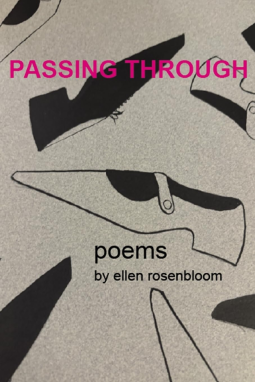 book cover for Passing Through