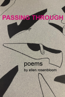 book cover for Passing Through