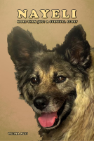 book cover for Nayeli – More Than Just a Survival Story