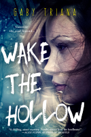 book cover for Wake the Hollow