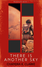 book cover for There Is Another Sky