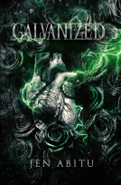 book cover for Galvanized