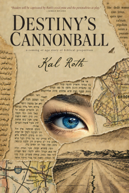book cover for Destiny's Cannonball